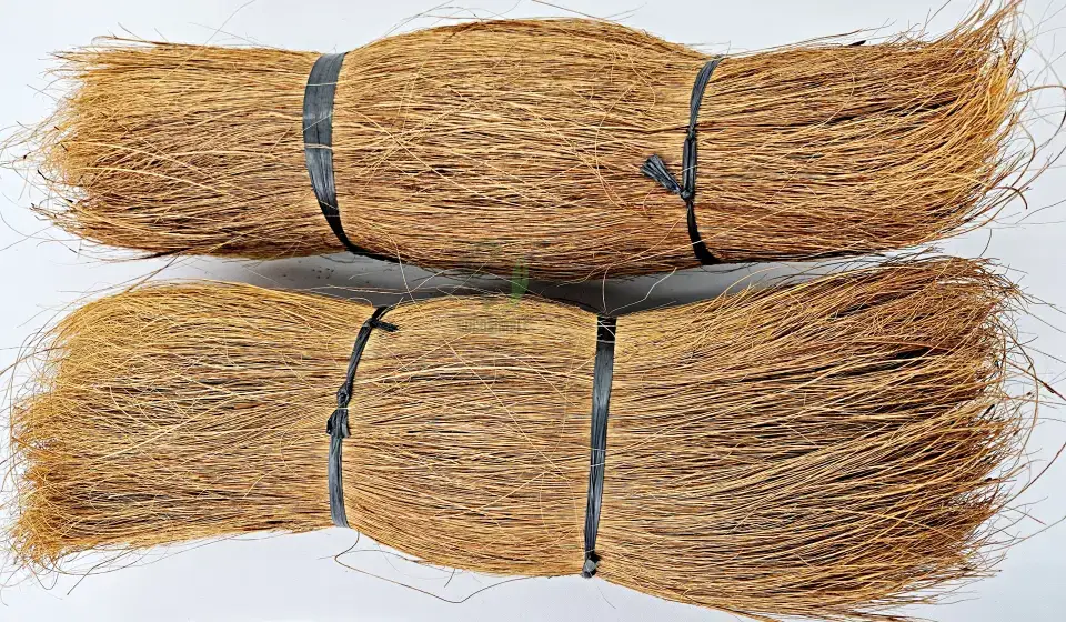 Coco Bristle-2