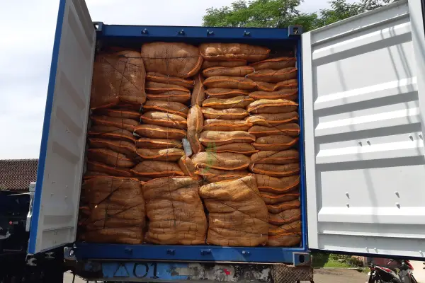 Cocobristle - full container