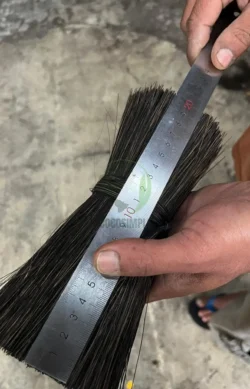 Handpicked quality for superior brush manufacturing. selected arenga gumati fiber for brush manufacturing export