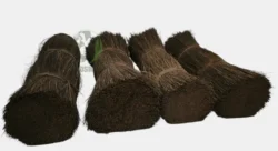 Naturally processed for better durability. sun dried gumati fiber natural processing export