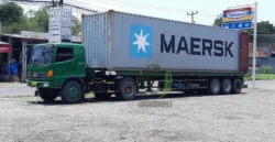 Industrial-grade bristle fiber supply industrial coconut bristle fiber