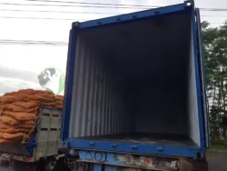 Detailed view of coconut bristle fibers close up coconut bristle fiber detail