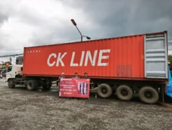 Sustainable bristle fibre from coconut waste sustainable coconut bristle fibre product